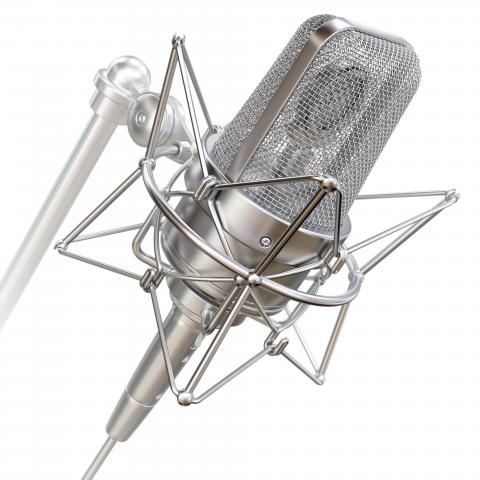 Silver Mic for Professional Male Voice Over Talent